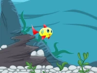 The happiest fish