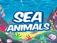 Sea animals hd