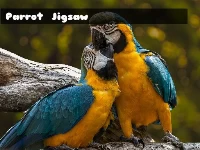 Parrot jigsaw