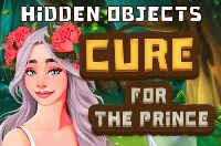 Hidden objects cure for the prince