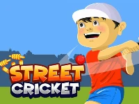 Street cricket