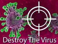 Destroy the virus