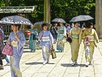 100 butterflies in japan