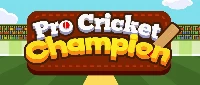 Pro cricket champion