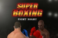 Super boxing fight night