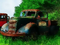 Old rusted trucks