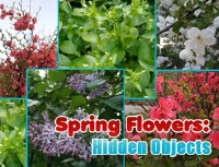 Spring flowers: hidden objects