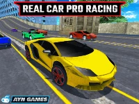 Real car pro racing