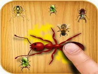 Ants touch