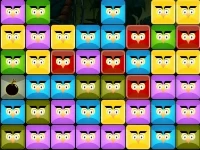 Angry owls