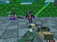 Survival shooting xtreme crazy blocky combat