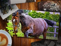 Jigsaw puzzle horses edition