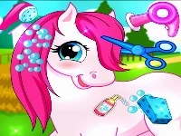 Horse pet salon 3d