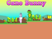 Cano bunny