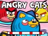 Angry cats