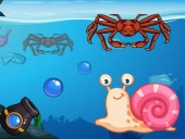 Crab shooter