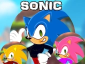 Sonic dress up