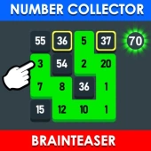 Number collector: brainteaser