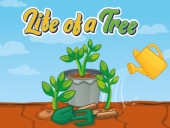 Life of a tree