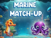 Marine match up