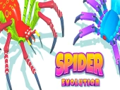 Spider evolution