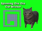 Spinning uia uia cat bricker