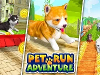 Pet run adventure puppy run