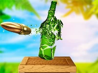 Real bottle shooter game