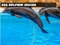 Sea dolphin jigsaw