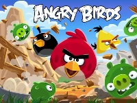 Angry bird jungle