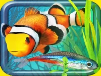 Fish farm - aquarium simulator